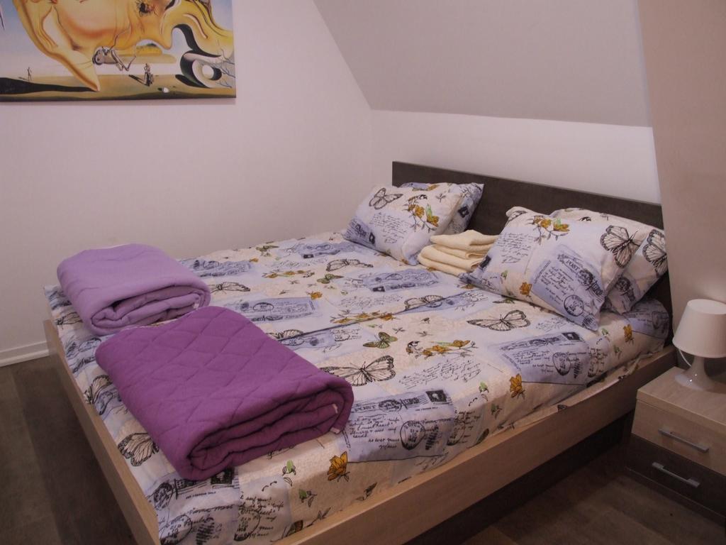 Apartments Mitic 科帕奥尼克 外观 照片